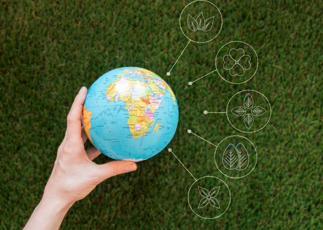 B Corp and Circular Economy: Certification Process and Benefits