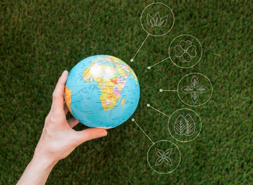 B Corp and Circular Economy: Certification Process and Benefits