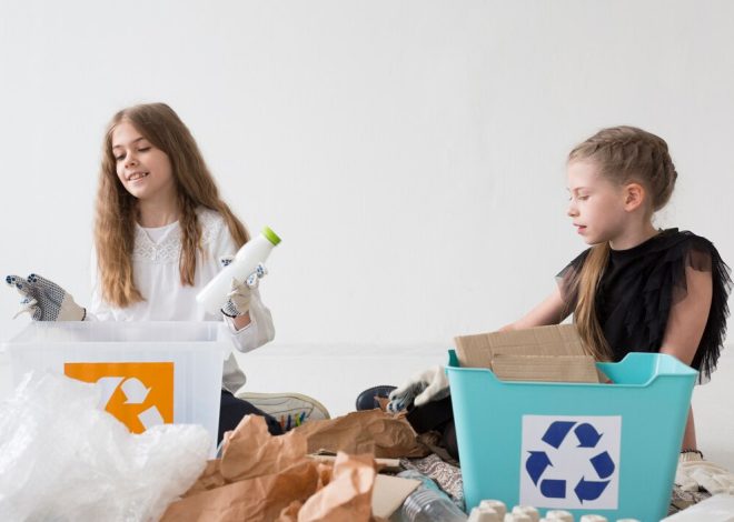 Toy Libraries and Rental: Reducing Plastic Waste in Children’s Play